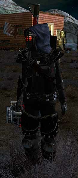 Fallen Earth
